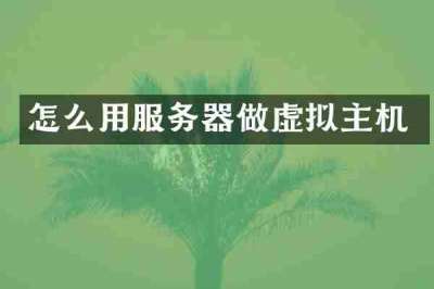 怎么用服务器做虚拟主机