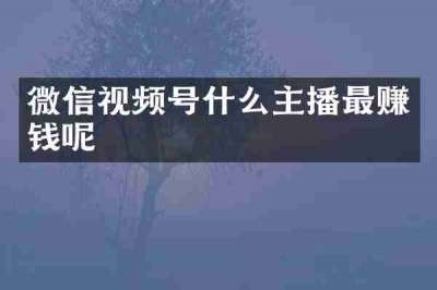 微信视频号什么主播最赚钱呢