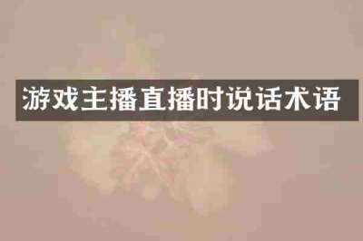游戏主播直播时说话术语