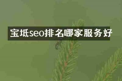 宝坻seo排名哪家服务好