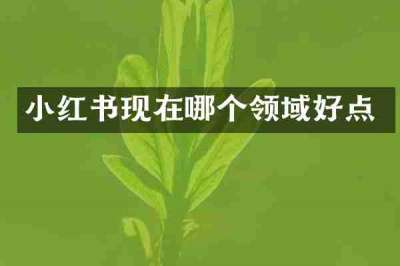小红书现在哪个领域好点