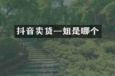 抖音卖货一姐是哪个