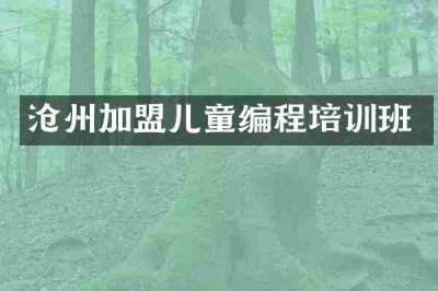 沧州加盟儿童编程培训班