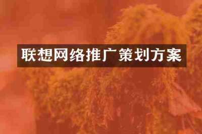 联想网络推广策划方案