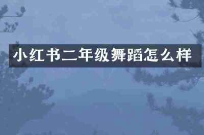 小红书二年级舞蹈怎么样