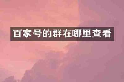 百家号的群在哪里查看