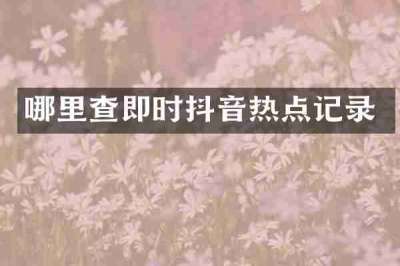 哪里查即时抖音热点记录
