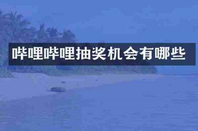 哔哩哔哩抽奖机会有哪些