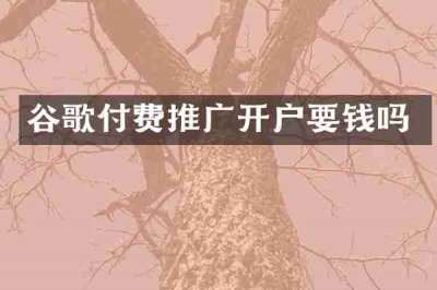 谷歌付费推广开户要钱吗