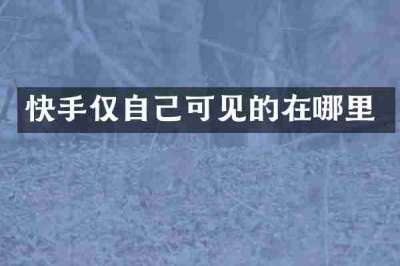 快手仅自己可见的在哪里