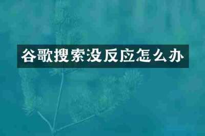 谷歌搜索没反应怎么办