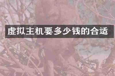 虚拟主机要多少钱的合适