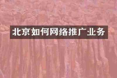 北京如何网络推广业务