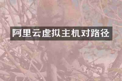 阿里云虚拟主机对路径