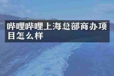 哔哩哔哩上海总部商办项目怎么样