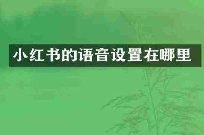 小红书的语音设置在哪里