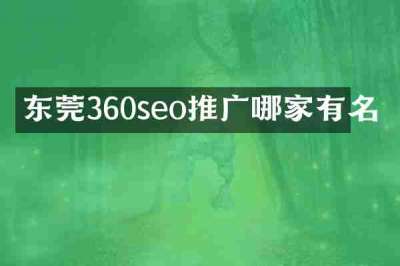 东莞360seo推广哪家有名