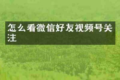 怎么看微信好友视频号关注