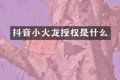 抖音小火龙授权是什么