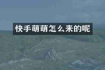 快手萌萌怎么来的呢