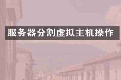服务器分割虚拟主机操作