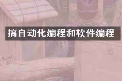 搞自动化编程和软件编程
