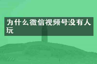 为什么微信视频号没有人玩