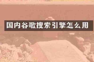 国内谷歌搜索引擎怎么用