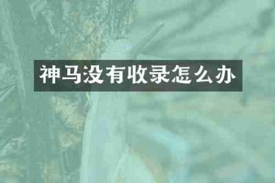 神马没有收录怎么办