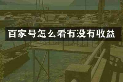 百家号怎么看有没有收益