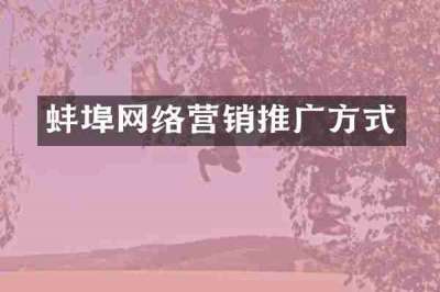 蚌埠网络营销推广方式