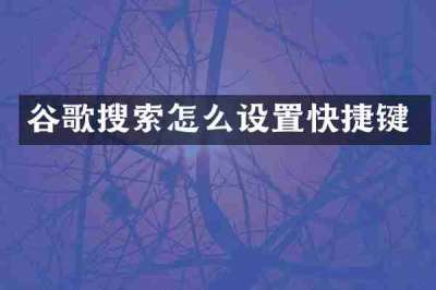 谷歌搜索怎么设置快捷键