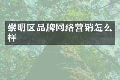 崇明区品牌网络营销怎么样