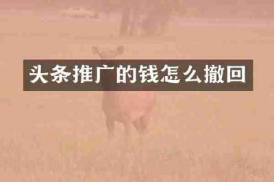头条推广的钱怎么撤回
