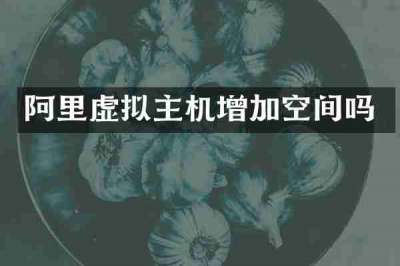 阿里虚拟主机增加空间吗