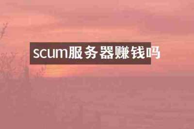 scum服务器赚钱吗