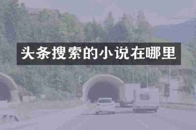头条搜索的小说在哪里