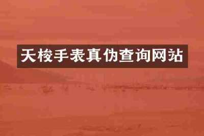 天梭手表真伪查询网站