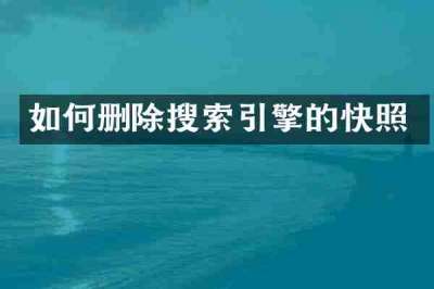 如何删除搜索引擎的快照