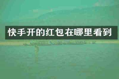 快手开的红包在哪里看到
