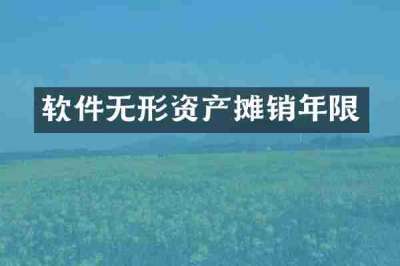 软件无形资产摊销年限