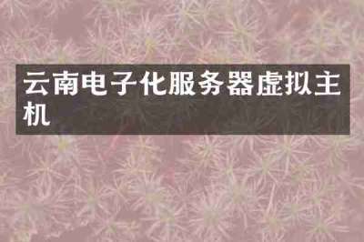 云南电子化服务器虚拟主机