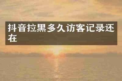 抖音拉黑多久访客记录还在