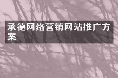 承德网络营销网站推广方案