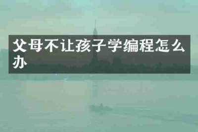 父母不让孩子学编程怎么办
