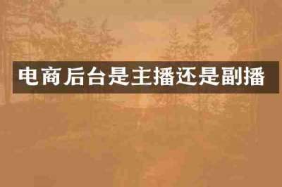 电商后台是主播还是副播