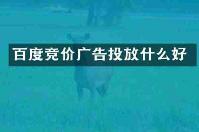百度竞价广告投放什么好