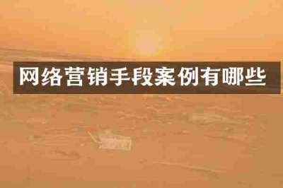 网络营销手段案例有哪些
