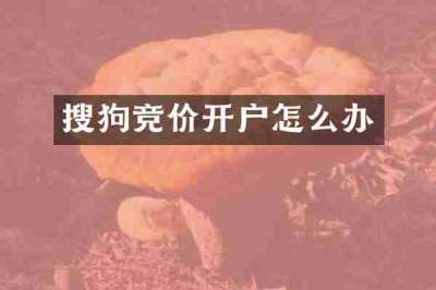 搜狗竞价开户怎么办