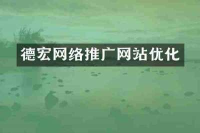 德宏网络推广网站优化
